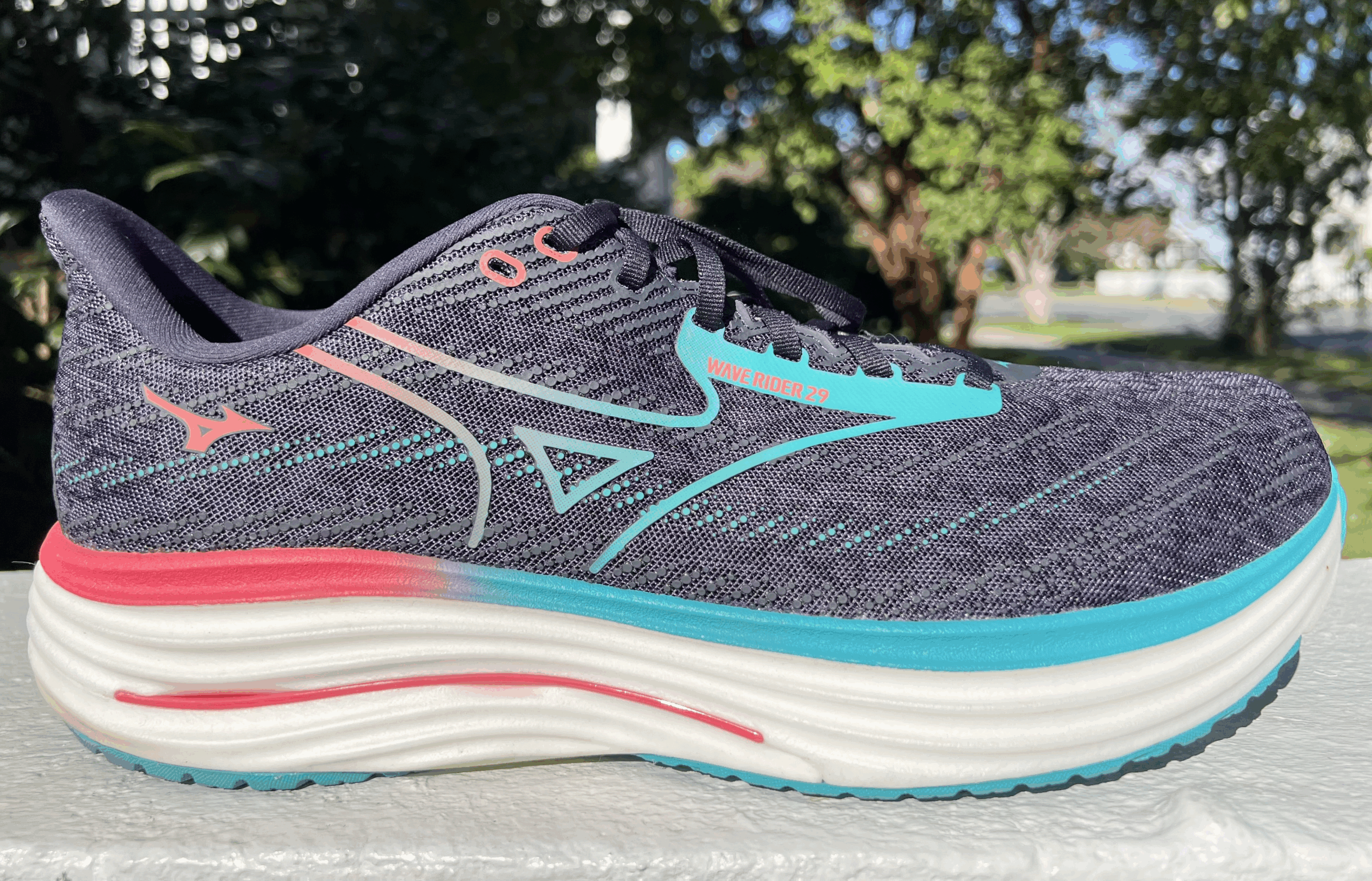 Mizuno Wave Rider 29 Review: “An Awesome Wave”